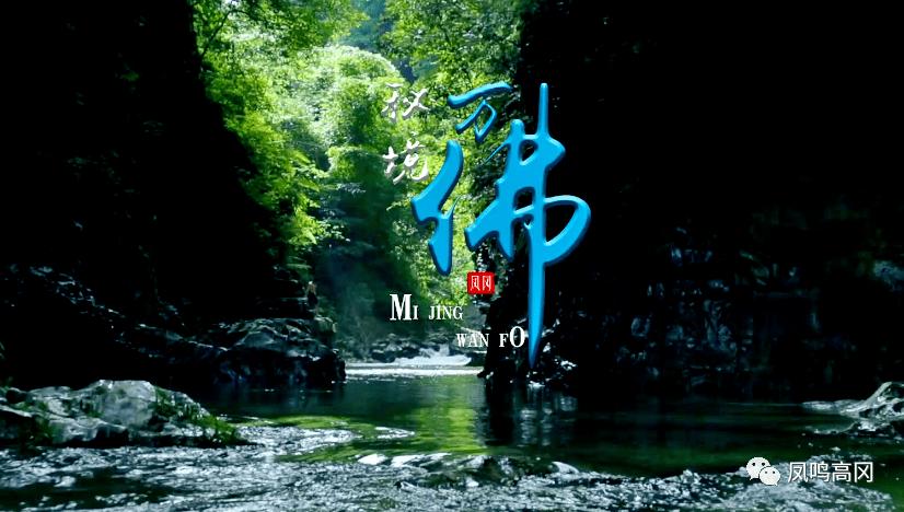 妙鸭相机app下载官网