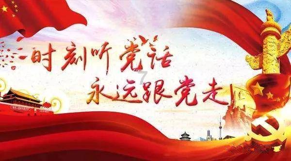 寻找萌宠松鼠